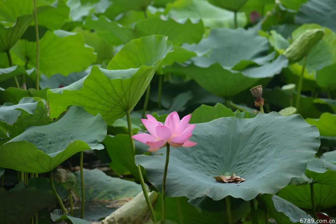 山東力明科技職業(yè)學院